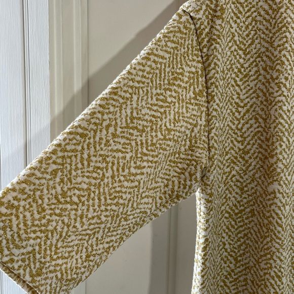 Maggy London Metallic Gold and Beige Shift Dress Exposed Gold Zipper, Lined - Picture 4 of 8